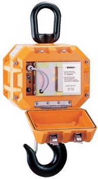 Електроживлення кранових ваг Caston-III 10-THD radio здійснюється від одного акумулятора 7-12. Акумуляторний відсік герметично закривається кришкою на засувках - це дуже важливо для підприємств з цілодобовим режимом роботи - замінити бокс з акумулятором можна на кілька секунд.