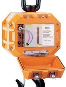 Электропитание крановых весов Caston-III 10-THD radio осуществляется от одного аккумулятора 7-12