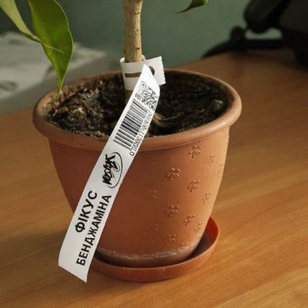 Ідентифікаційна бирка-петелька для маркування рослин