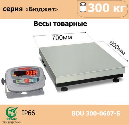 Весы товарные AXIS BDU300-0607-Бюджет