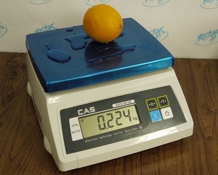 Весы с пыле-влагозащитой CAS SW-10W