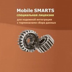 Mobile SMARTS RFID